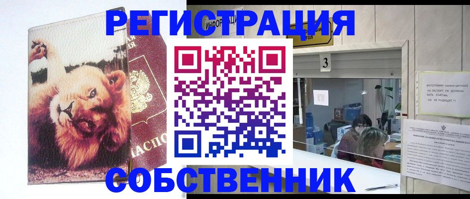 прописка поиск в Чехове
